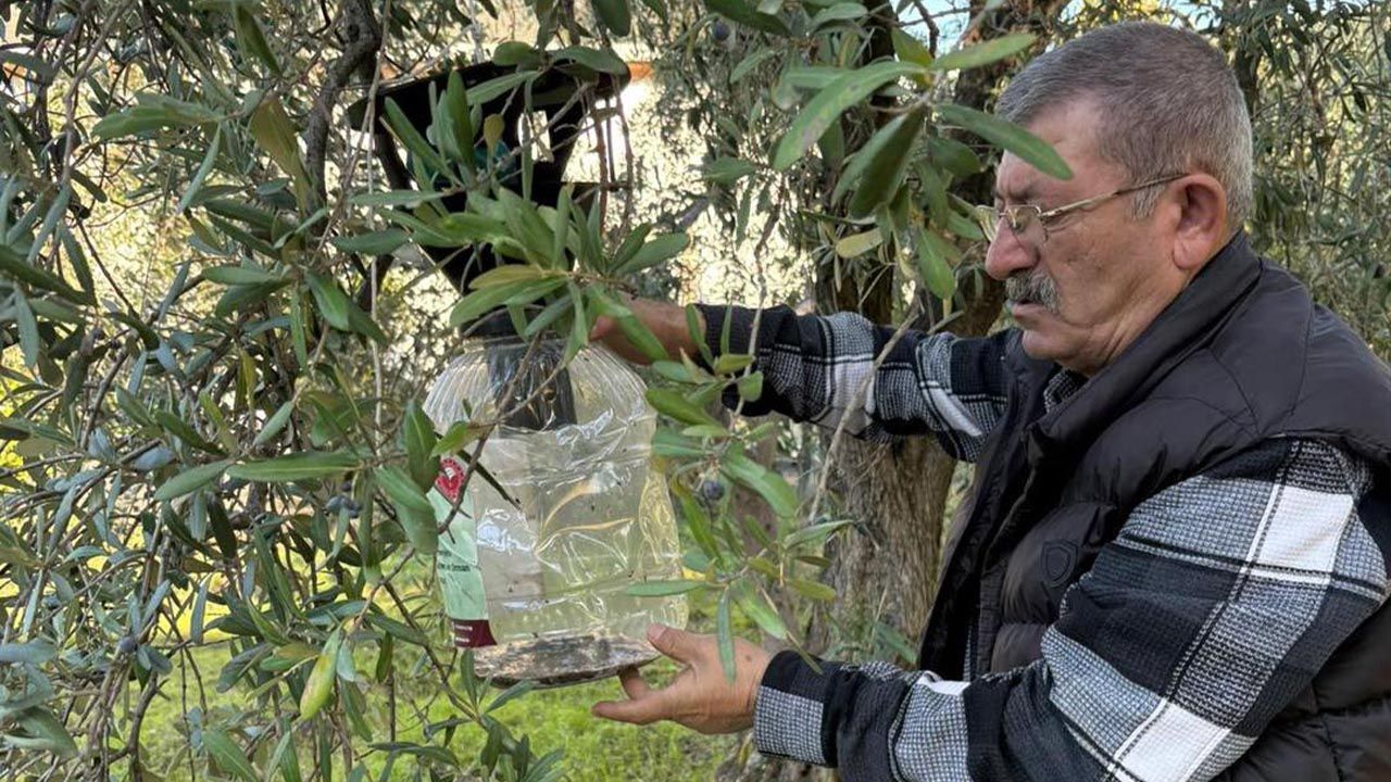 Armutlu’da Zararlı Mücadelesi Sürüyor