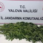 Yalova’da Madde Operasyonu