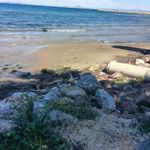 Yalova’da Deniz Çekildi Endişe Arttı