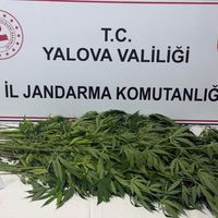 ASAYİŞ