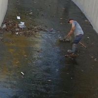 ÇINARCIK
