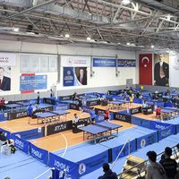 SPOR
