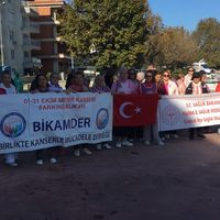 ÇINARCIK