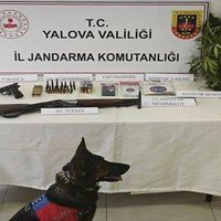 ASAYİŞ
