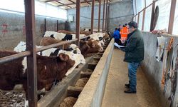 Tarım İl Müdürlüğü Ekipleri Deprem Bölgesinde