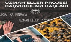 Uzman Eller Projeleri Başvuruları Başladı