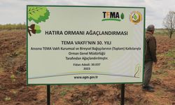 TEMA Vakfı Sözünü Tuttu: 30’uncu Yıla Özel 7 Bölgede 7 Orman!