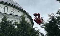 Leylek Ve Yavrusunun Yeni Yuvası Altınova Belediyesi’nden