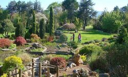 Karaca Arboretum Ziyaretçilerini Ağırlıyor