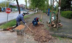 Cadde Ve Sokaklar Temizleniyor