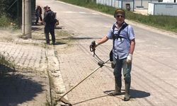 Başkan Şahin Çalışmalara El Attı