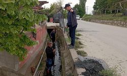 Kadıköy Belediyesi, Sulama Kanallarını Temizledi