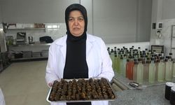 Girişimci Kadınlar Kivi Sucuğu Üretti