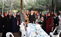 AK Partililer Altıova’da Piknikte Buluştu 