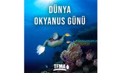 TEMA Vakfı’ndan Dünya Okyanus Günü Mesajı