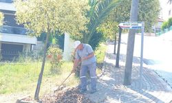 Kadıköy Belediyesi’nden Çevre Düzenlemesi