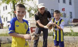 Yalova Üniversitesi’nde 100 Adet Sülün Doğaya Salındı