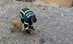 Yalova’da İnşaat Temeline Düşen Köpeği İtfaiye Kurtardı