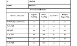 Yalova Denizi’nde Bugün: Akasya Park Plajı ve Araştırma Halk Plajı Suyu Temiz Mi?