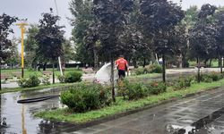 Güvercinli Park’ta Sulama Çalışması Yaptılar