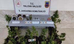 Jandarma Uyuşturucu Satıcısını Kıskıvrak Yakaladı