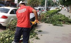 Yalova Belediyesi’nden Çevre Bakım Çalışmaları