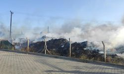 Altınova’daki Yangın Korkuttu