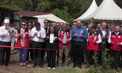 Yalova Aronyası Hasat Şenliği Düzenlendi