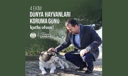 Başkan Canbay, Dünya Hayvanları Koruma Günü’nü Kutladı