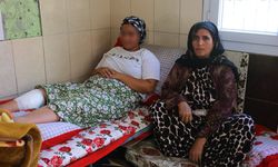 Önce evi yaktı, sonra kız kardeşini vurdu  