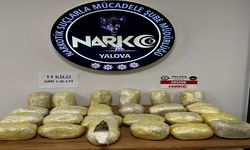 Yalova’da 14 Kilo 600 Gram Skunk Ele Geçirildi