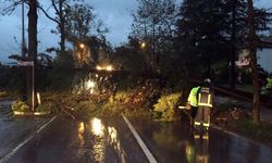 Yalova Belediyesi Fırtınada 274 Olaya Müdahale Etti