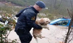 Zonguldak'ta Sel'in Ortasında Araçta Mahsur Kalan 4 Kişi ve 2 Köpek Kurtarıldı  