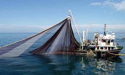 Küçük Ölçekli Balıkçılık Desteklemesi Başvuru Tarihleri Belli Oldu