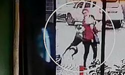 Tekirdağ'da pitbull dehşeti kamerada: Hem ona hem de köpeğine saldırdı