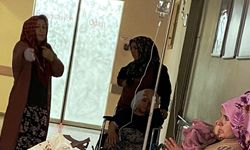 Diyarbakır’da 72 yaşındaki kadın besledikleri köpeğin saldırısına uğradı