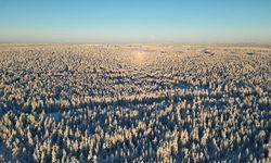 Buzulların Arasında Kartpostalları Andıran Ülke: Finlandiya