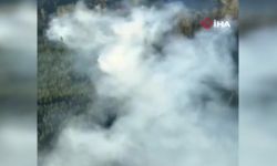 Şili’deki orman yangınlarında can kaybı 112’e yükseldi  
