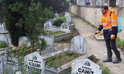 Mezarlıklarda Yabani Otla Mücadele Devam Ediyor