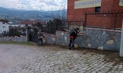 Kadıköy’de Temizlik Ve Düzenleme Çalışmaları Yapıldı
