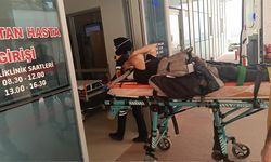 Yalova'da Kontrolden Çıkan Minibüs Takla Attı, 2 Kişi Yaralandı