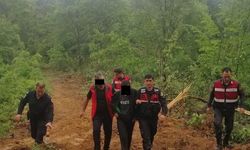 Yalova’da 2 Hektar Ormanın Yanmasına Neden Olan Zanlı Gözaltına Alındı