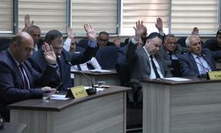 Yalova İl Genel Meclisi, Mayıs Ayı Toplantılarına Başladı