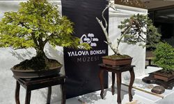 Yalova Bonsai Müzesi Ankara’da Damga Vurdu!
