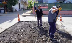 Altınova’da Kasis Çalışmaları Başladı