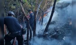 AFAD Yalova, Çiftlikköy'deki Yangına Anında Müdahale Etti