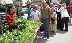 Altınova’da Ata Tohumları Toprakla Buluşuyor