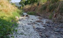 Yalova'da Gölet Bilmecesi