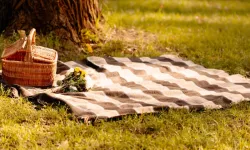 Yalova Barosu, İstihkam Tepe'de Piknik Düzenliyor