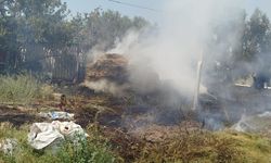 Altınova'da Arazi Yangını Meydana Geldi